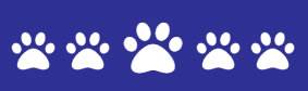 5-paws-rating